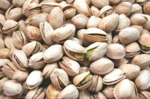 pistacchio