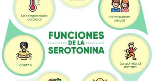 Il ruolo della serotonina nella regolazione dell’umore