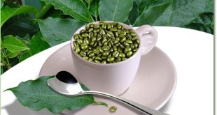 Caffè verde: proprietà metaboliche e controindicazioni