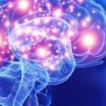Neuroplasticità: come il cervello si adatta e guarisce
