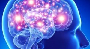 Neuroplasticità: come il cervello si adatta e guarisce