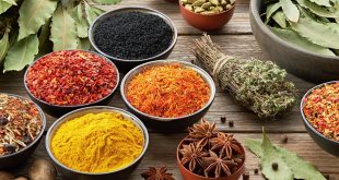 Ayurveda e dosha: guida completa per riequilibrare corpo e mente