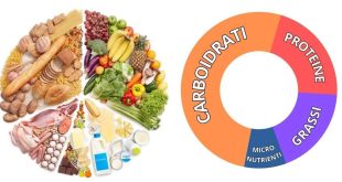 Shiatsu: principi energetici e benefici per il benessere globale