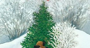 I segreti della pelle: funzioni, rigenerazione e protezione naturale