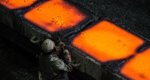 Ferro: biodisponibilità e strategie contro l’anemia nutrizionale