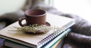 Medicina tibetana: principi millenari ancora attuali