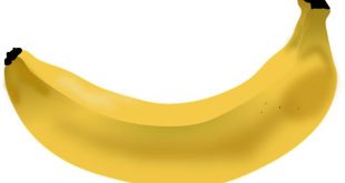 Potassio: come regola pressione e funzionalità muscolare